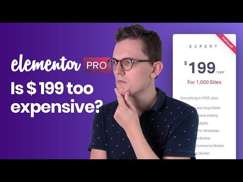 Is Elementor Pro worth your money? How do you justify $199?