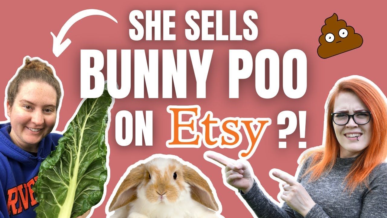 Amazing Etsy Success Story 🐇 How Leanne Started A Profitable Etsy Shop Selling Bunny Poop and Seeds